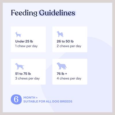 Calming Turkey Flavor Chews Dog Supplement, 60 count