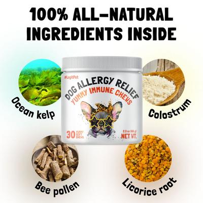 Allergy & Immune Support Chicken Flavored Chew Supplement for Adult Dogs, 30 count