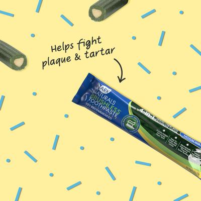 Birthday Party Medium/Large Dog Box