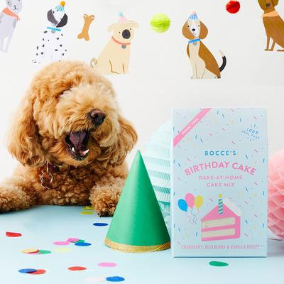 Birthday Party Medium/Large Dog Box