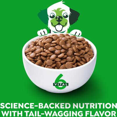 Smart Essentials Puppy High Protein Real Chicken & Brown Rice Dry Dog Food, 5.5-lb bag