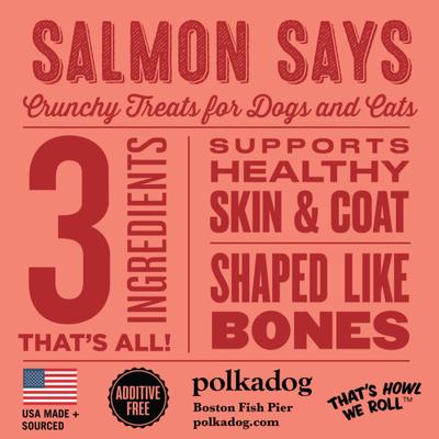 Salmon Says Bone-Shaped Crunchy Dehydrated Dog & Cat Treats, 7-oz bag