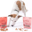 Salmon Says Bone-Shaped Crunchy Dehydrated Dog & Cat Treats, 7-oz bag