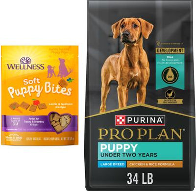 Bundle: Purina Pro Plan Puppy Large Breed Chicken & Rice Formula with Probiotics Dry Food + Wellness Soft Puppy Bites Lamb & Salmon Recipe Grain-Free Dog Treats