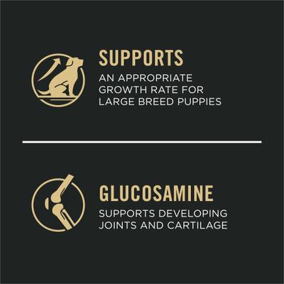 Bundle: Purina Pro Plan Puppy Large Breed Chicken & Rice Formula with Probiotics Dry Food + Wellness Soft Puppy Bites Lamb & Salmon Recipe Grain-Free Dog Treats