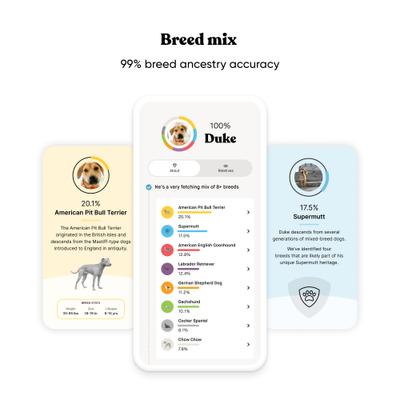 Breed & Health Dog DNA Test Kit