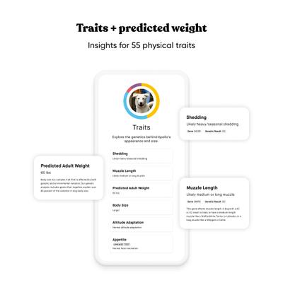 Breed & Health Dog DNA Test Kit