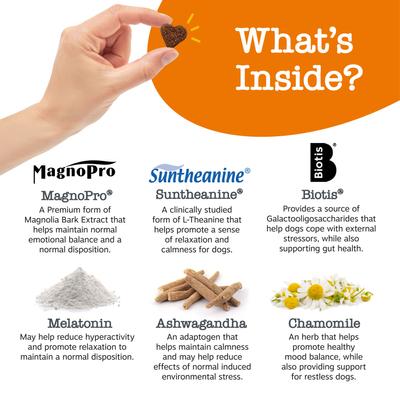 Vet Strength Turkey Flavored Chew Calming Supplement for Dogs, 90 count