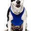 Chaleco antiansiedad para perros, azul rey, extragrande
