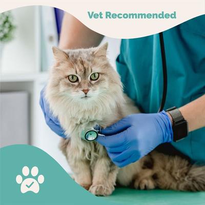 Probiotic Powder Digestive Aid for Cats, 3.1-oz jar