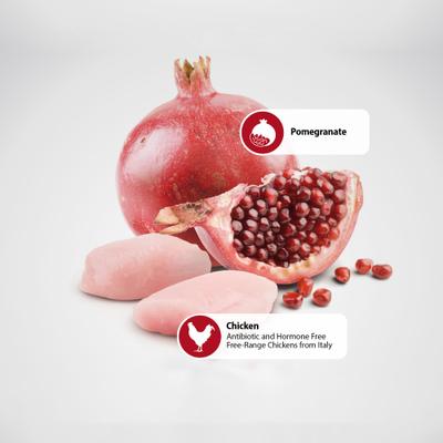 Natural & Delicious Puppy Prime Chicken & Pomegranate Canned Dog Food, 4.9-oz can, case of 6