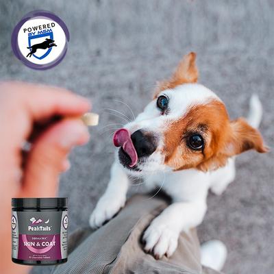 Dermatrix Skin & Coat Dog Supplement, 90 count