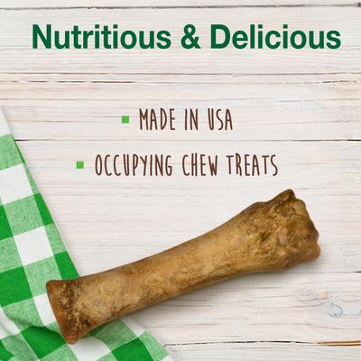Healthy Edibles Puppy Natural Long Lasting Dog Chew Treat, X-Large