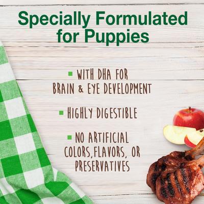 Healthy Edibles Puppy Natural Long Lasting Dog Chew Treat, X-Large