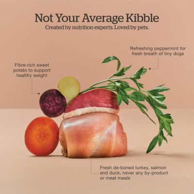 Grain-Free Small Breed Senior Recipe Dry Dog Food, 12-lb bag