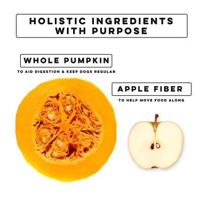 Digestive Pumpkin Powder Digestive Aid Supplement for Dogs & Cats, 16-oz jar