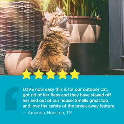 ProAct Flea & Tick Cat Collars, 2 count