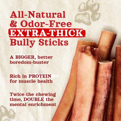 Golosinas para perros Bully Sticks extra gruesas sin olor, 12 pulgadas, 5 unidades