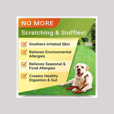 Allergy Relief & Anti Itch Relief with Omega 3 Skin & Coat Fish Oil Chew Supplement for Dogs, 180 count
