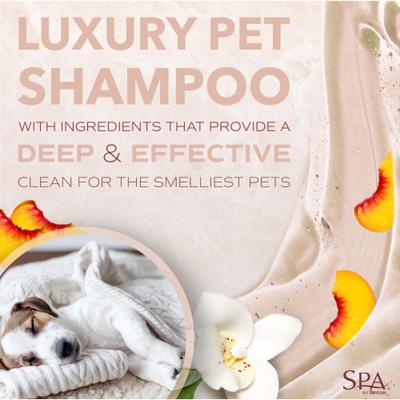 Spa for Him Oatmeal Dog Shampoo, Sporty Sandalwood Scent, 16-fl oz bottle