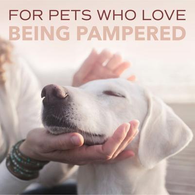 Spa for Him Oatmeal Dog Shampoo, Sporty Sandalwood Scent, 16-fl oz bottle