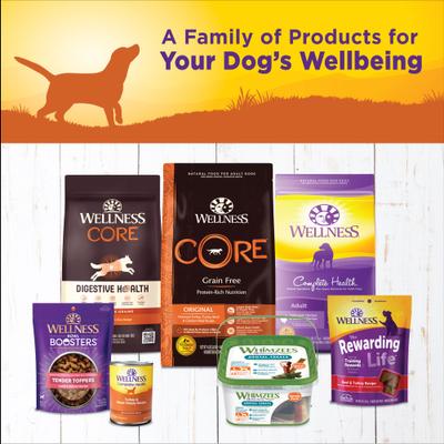 Alimento enlatado para perros Complete Health Turkey & Sweet Potato Formula, 12 onzas (340 g), caja de 12