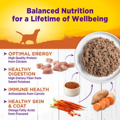 Alimento enlatado para perros Complete Health Turkey & Sweet Potato Formula, 12 onzas (340 g), caja de 12