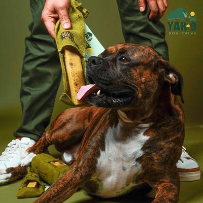 CrunCheese Natural Flaxseed Flavored Crunchy Dog Treats, 0.37-lb bag