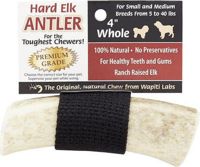 Whole Elk Antlers Dog Chews, Small-Medium