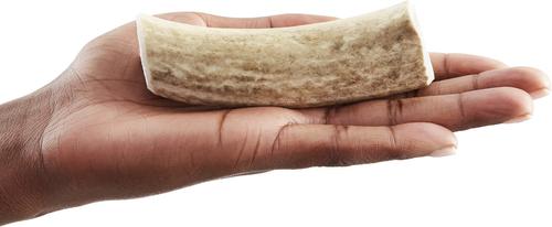 Whole Elk Antlers Dog Chews, Small-Medium