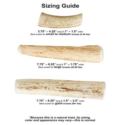 Whole Elk Antlers Dog Chews, Small-Medium