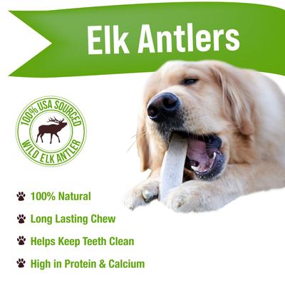 Split Elk Antler Dog Chews, 6 - 7 in
