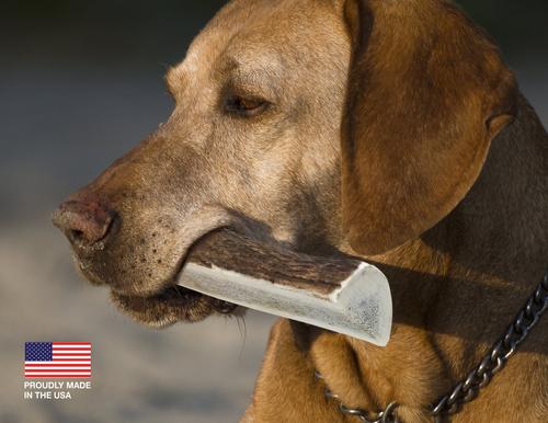 Split Elk Antler Dog Chews, 6 - 7 in