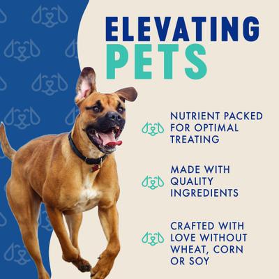 Wheat-Free Blueberry & Coconut Crunchy Biscuit Dog Treats, 12-oz bag