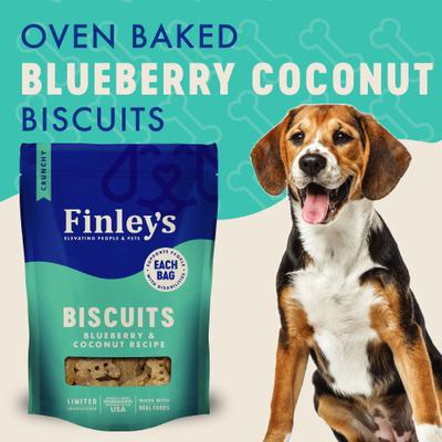 Wheat-Free Blueberry & Coconut Crunchy Biscuit Dog Treats, 12-oz bag