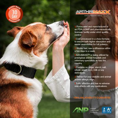 ArthriMAXX Premium Dog Soft Chews Joint Support Supplement, 120 count