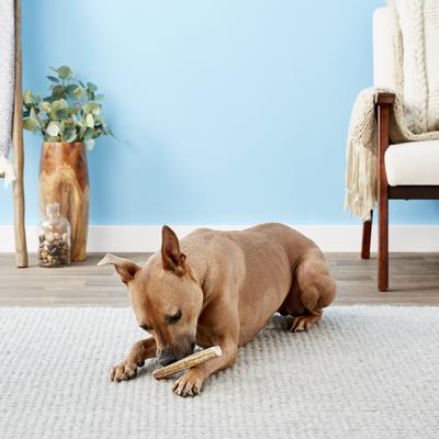 Natural Elk Antler Splits Dog Chews, Small