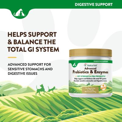 Advanced Probiotics & Enzymes Plus Vet Strength PB6 Probiotic Powder Digestive Supplement for Cats & Dogs, 4-oz jar