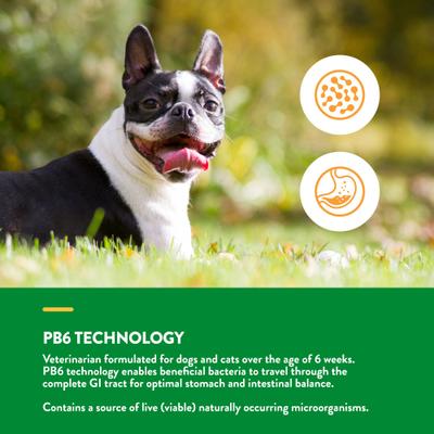 Advanced Probiotics & Enzymes Plus Vet Strength PB6 Probiotic Powder Digestive Supplement for Cats & Dogs, 4-oz jar