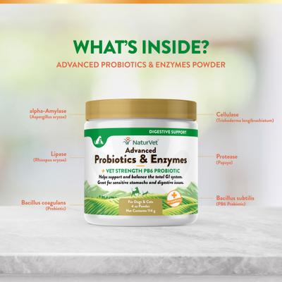 Advanced Probiotics & Enzymes Plus Vet Strength PB6 Probiotic Powder Digestive Supplement for Cats & Dogs, 4-oz jar