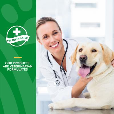 Probióticos y enzimas avanzados con potencia veterinaria PB6, suplemento digestivo en polvo probiótico para gatos y perros, frasco de 113 g
