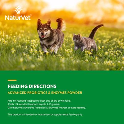Advanced Probiotics & Enzymes Plus Vet Strength PB6 Probiotic Powder Digestive Supplement for Cats & Dogs, 4-oz jar
