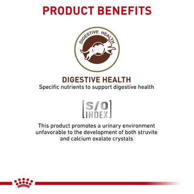 Premios gastrointestinales para gatos adultos, bolsa de 7.7 oz