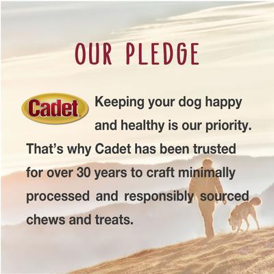 Extra-Thick Bully Sticks Dog Chews, Large, 2 count