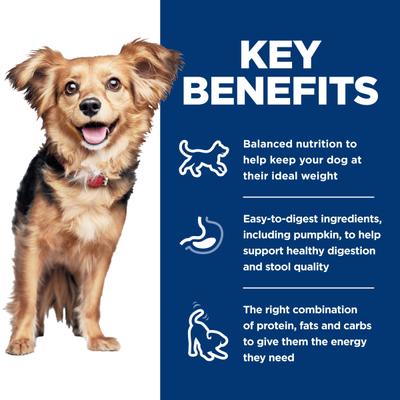 Adult Perfect Digestion Small Breed & Mini Breed Chicken & Vegetables Entree Wet Minced Wet Dog Food, 5.8-oz can, 24 count