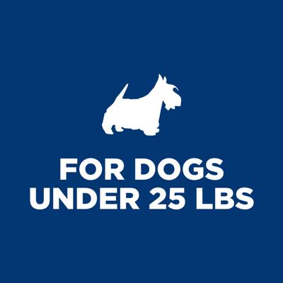 Adult Perfect Digestion Small Breed & Mini Breed Chicken & Vegetables Entree Wet Minced Wet Dog Food, 5.8-oz can, 24 count