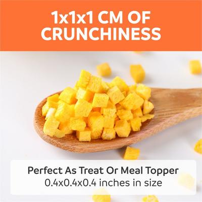 Freeze-Dried Pumpkin Treats Grain-Free Prebiotics & Fiber Freeze-Dried Dog & Cat Treats, 2-oz bag