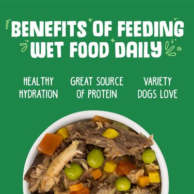 Comida enlatada para perros sin cereales Cirque De La Mer con atún y verduras en sopa de calabaza, 14 oz, caja de 12