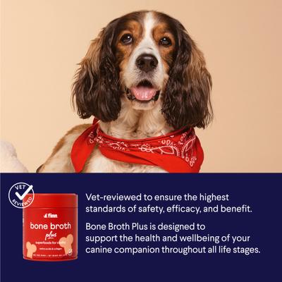 Bone Broth Plus Superfoods Flavor Meal Topper Powder Supplement for Dogs, 8-oz jar