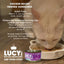 Kettle Creations Chicken Recipe in Gravy Wet Cat Food, 2.47-oz can, case of 12